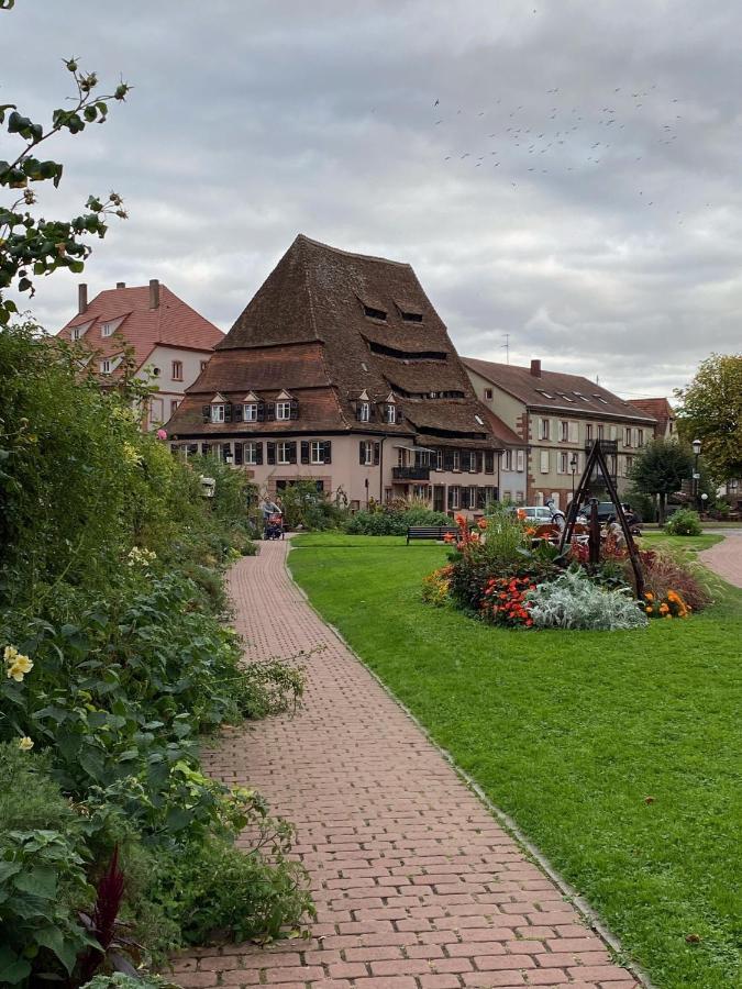 Studio Moderne Tout Equipe Wifi - Parking Gratuit - Proche De La Nature Wissembourg Eksteriør billede