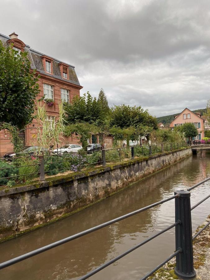 Studio Moderne Tout Equipe Wifi - Parking Gratuit - Proche De La Nature Wissembourg Eksteriør billede