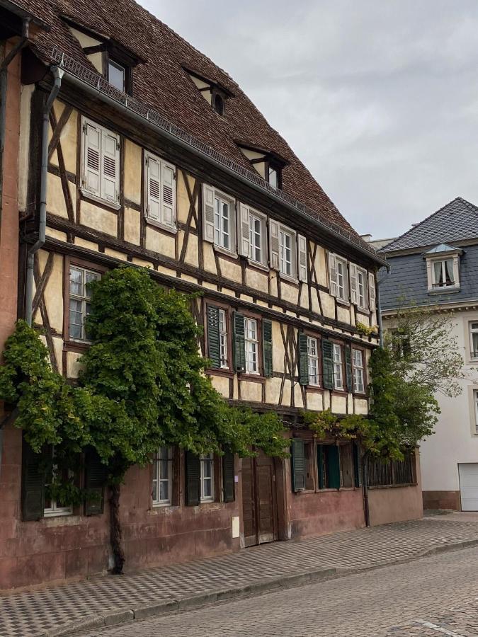 Studio Moderne Tout Equipe Wifi - Parking Gratuit - Proche De La Nature Wissembourg Eksteriør billede
