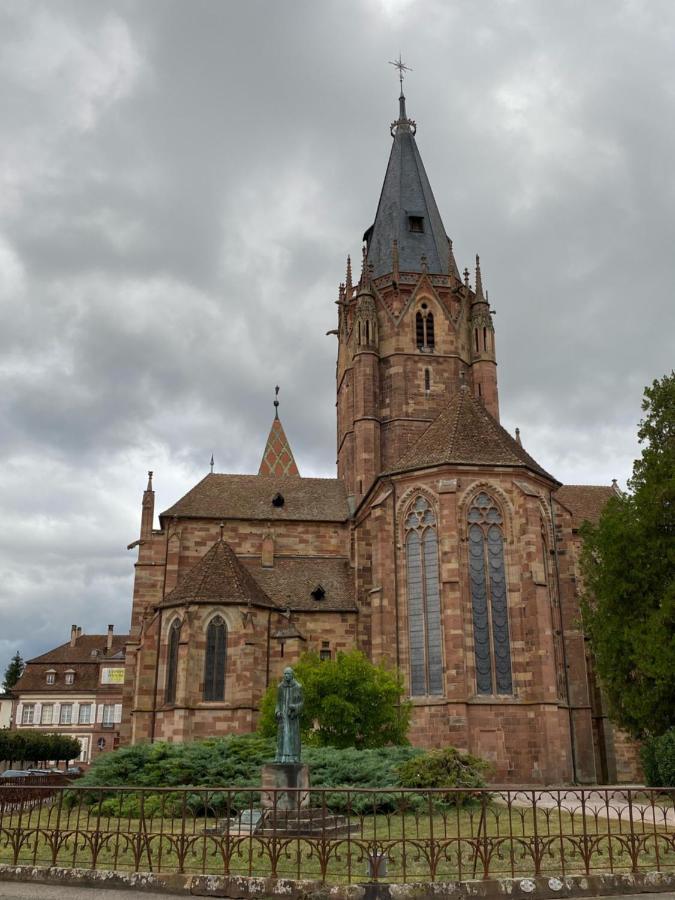 Studio Moderne Tout Equipe Wifi - Parking Gratuit - Proche De La Nature Wissembourg Eksteriør billede