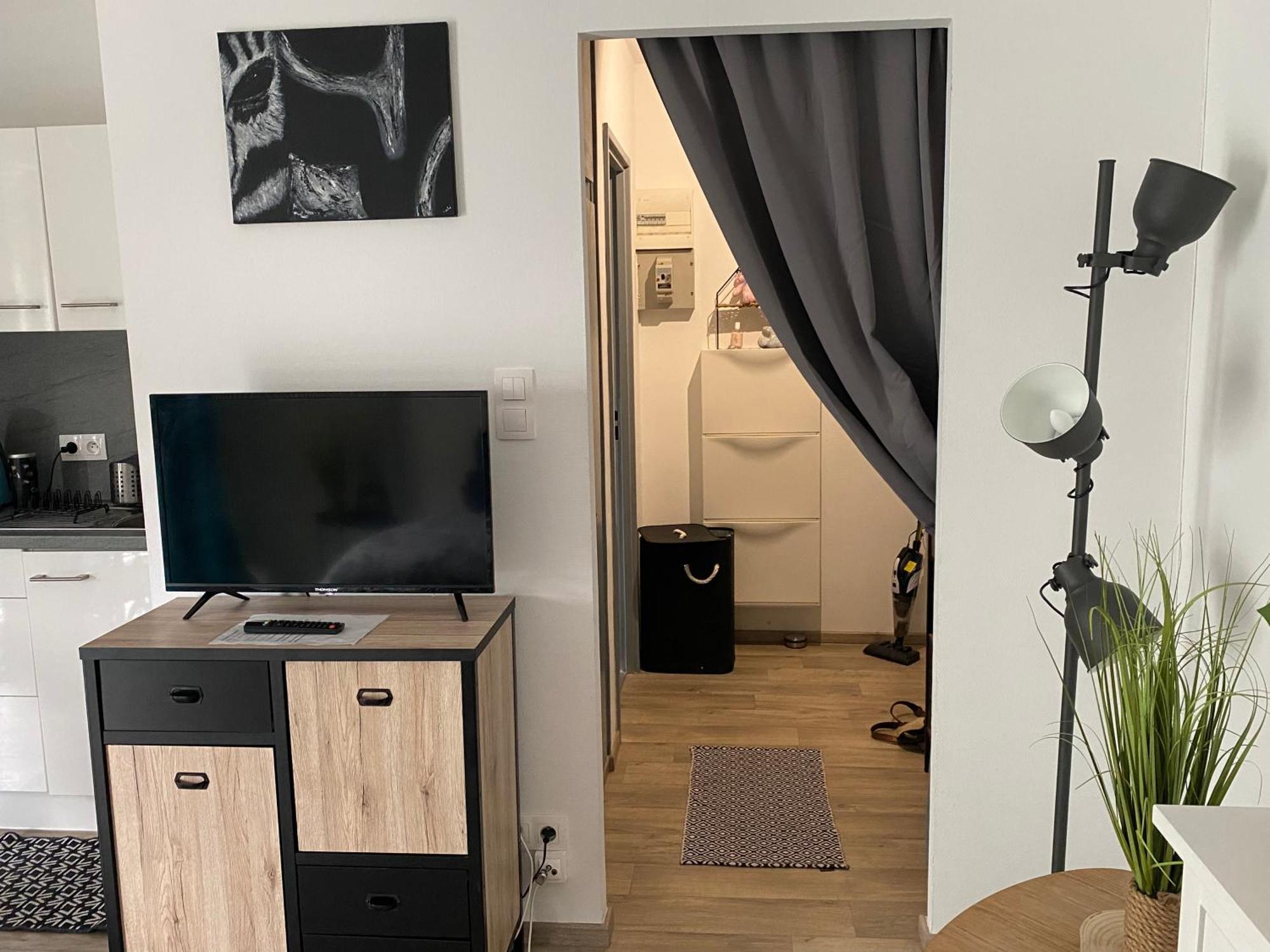 Studio Moderne Tout Equipe Wifi - Parking Gratuit - Proche De La Nature Wissembourg Eksteriør billede