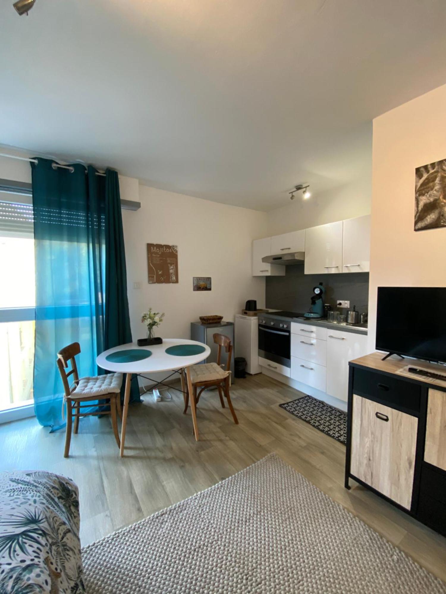 Studio Moderne Tout Equipe Wifi - Parking Gratuit - Proche De La Nature Wissembourg Eksteriør billede