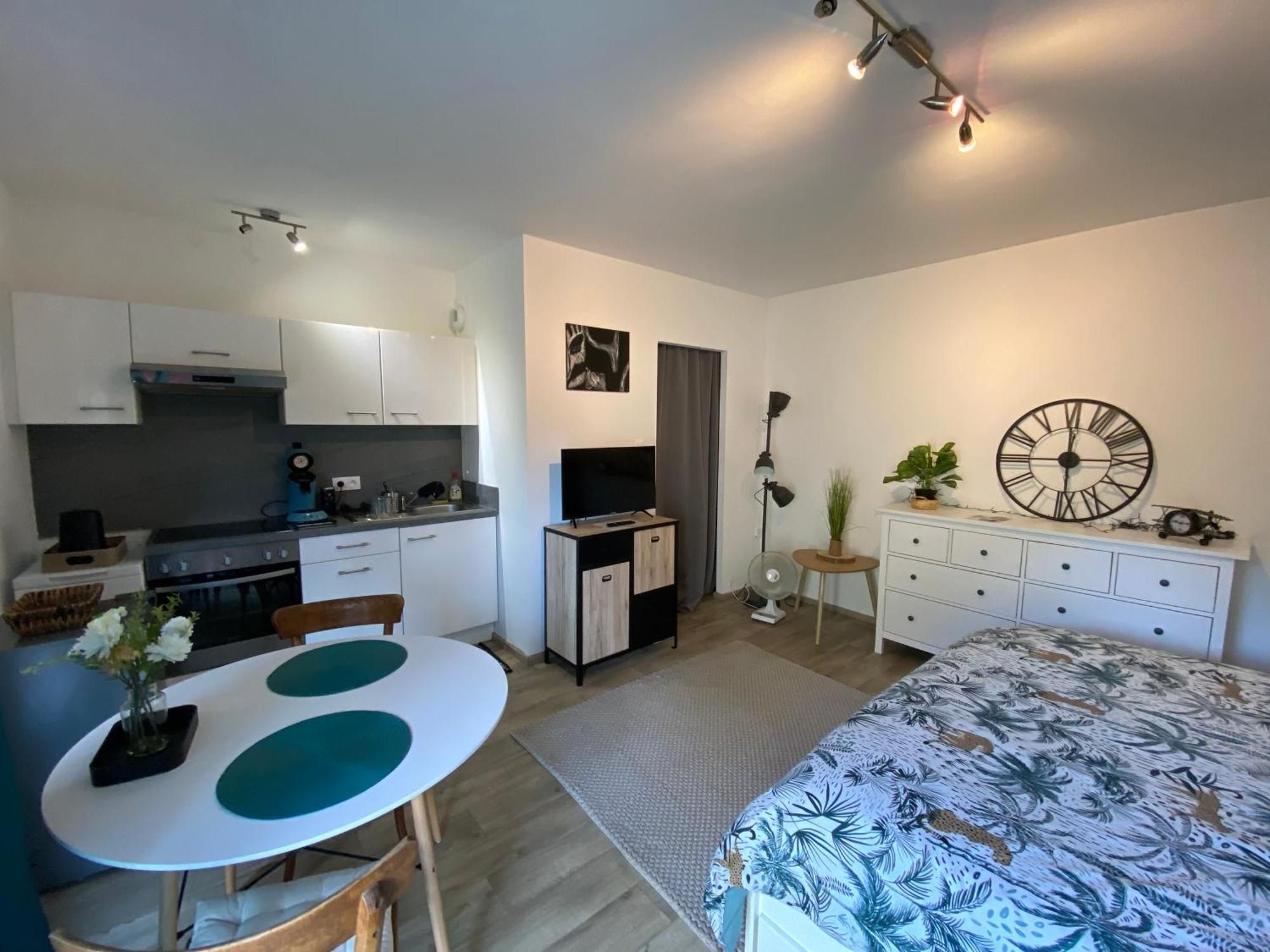 Studio Moderne Tout Equipe Wifi - Parking Gratuit - Proche De La Nature Wissembourg Eksteriør billede