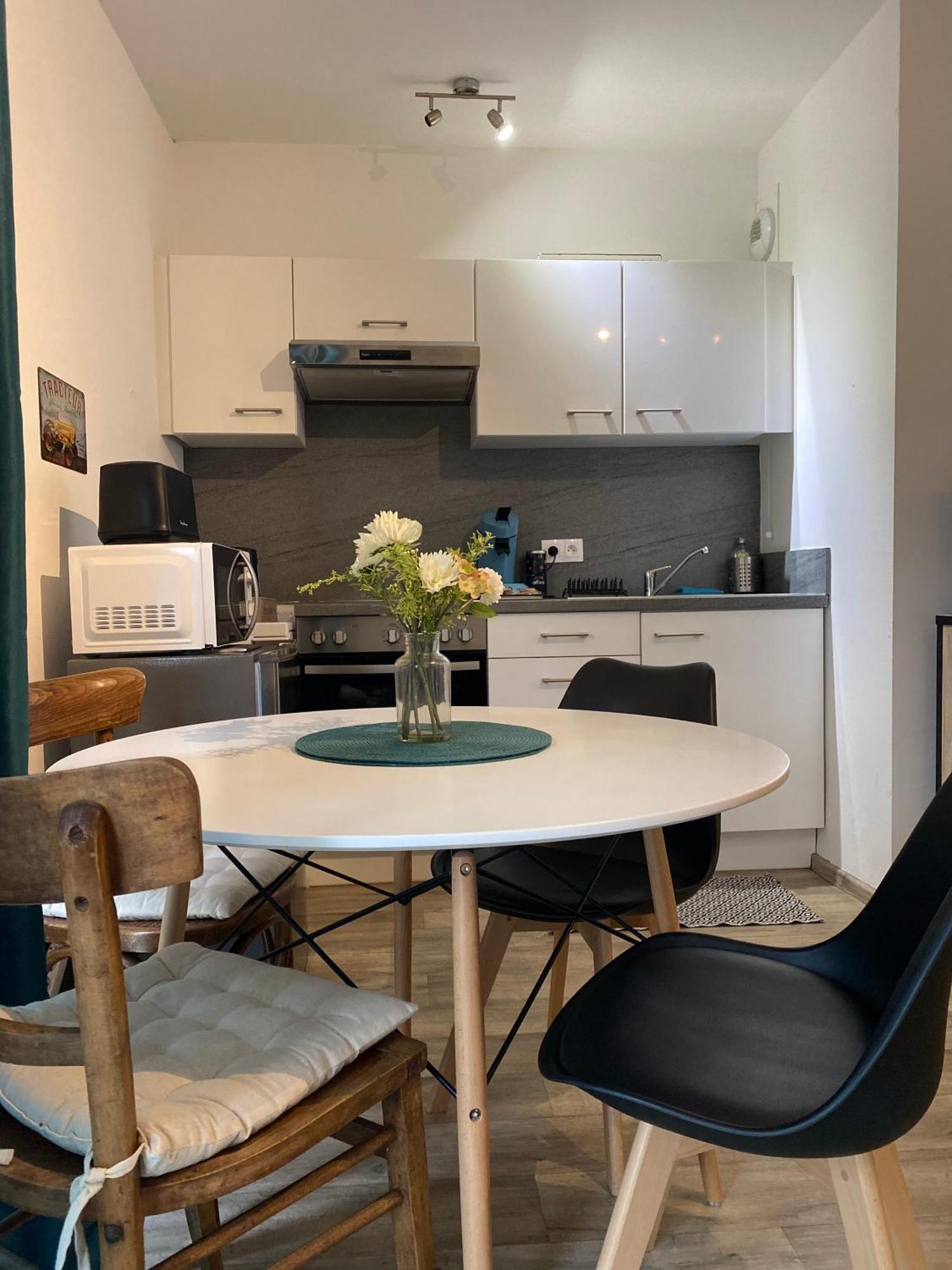 Studio Moderne Tout Equipe Wifi - Parking Gratuit - Proche De La Nature Wissembourg Eksteriør billede