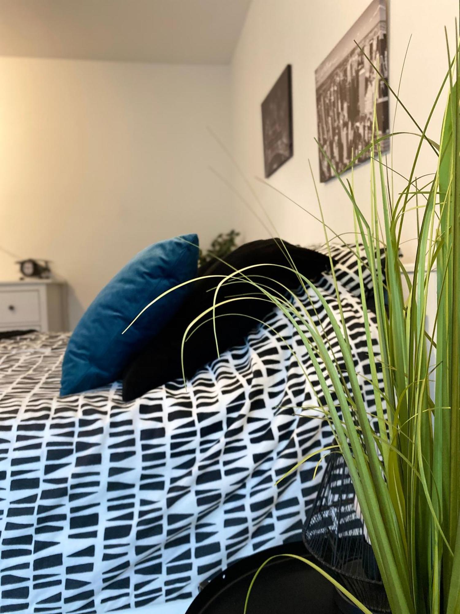 Studio Moderne Tout Equipe Wifi - Parking Gratuit - Proche De La Nature Wissembourg Eksteriør billede